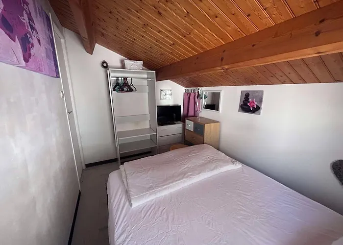 Cosy A 200m De La Avec Animaux & Parking - Fr-1-194-347 La Tranche-sur-Mer